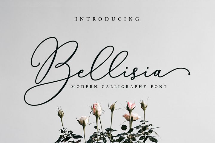 Bellisia Script