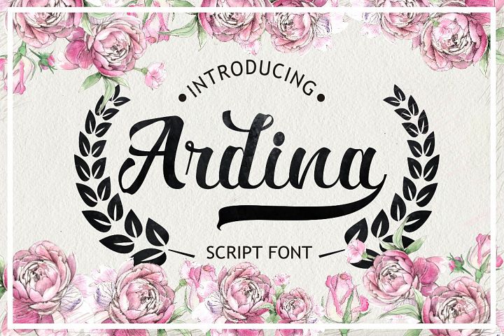 Ardina Script - Free Font of The Week