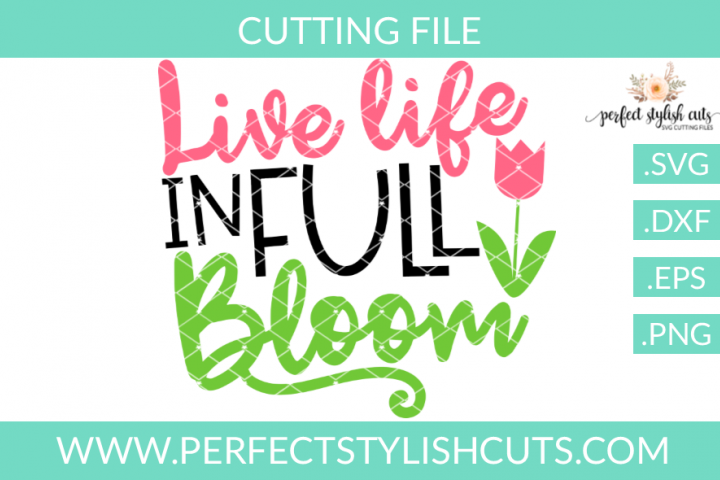 Spring SVG - Live Life In Full Bloom SVG (71306) | SVGs | Design Bundles