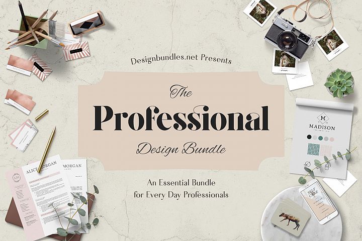 Download The Professional Design Bundle Design Bundles