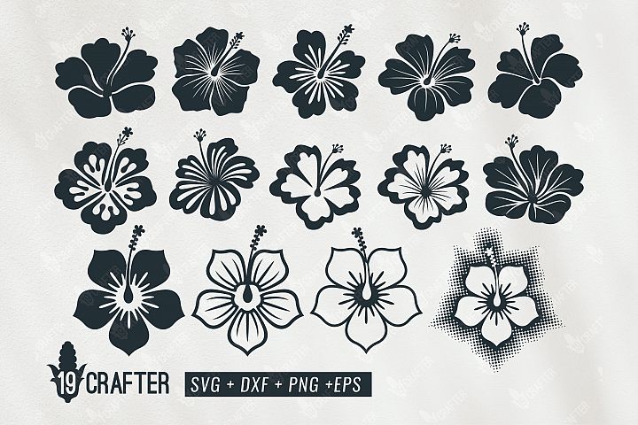 Free Free Hibiscus Paper Flower Svg Free 844 SVG PNG EPS DXF File