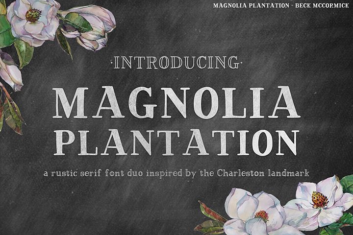 Magnolia Plantation Hand-lettered Serif Font Duo