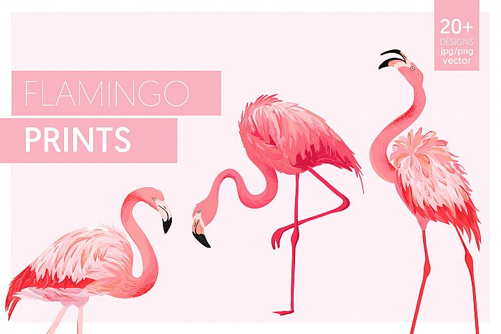 Download Flamingo and Flowers Design Kit