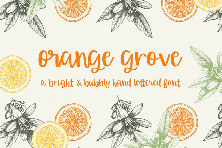 Orange Grove Script
