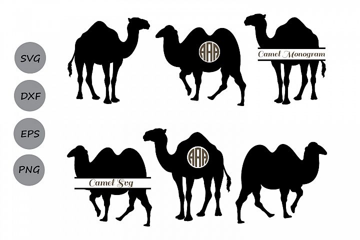 Download Camel Svg, Camel monogram svg, camel clipart, Animal Svg.