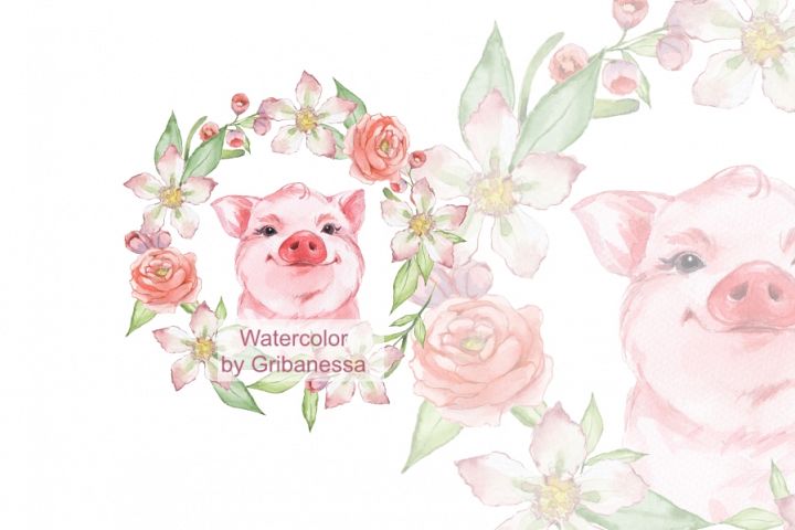 Pig and flowers