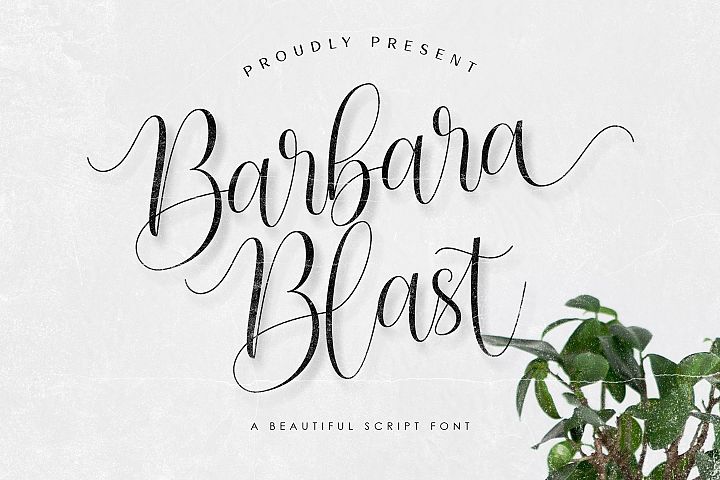 Barbara Blast || Beautiful Script Font