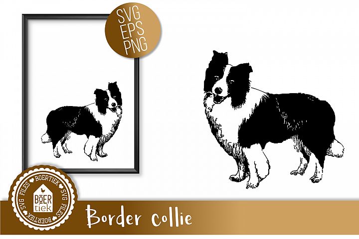 Download Border collie, SVG cutting file