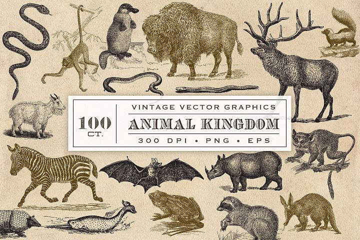 Vintage Animal Vector Graphics (17678) | Illustrations | Design Bundles