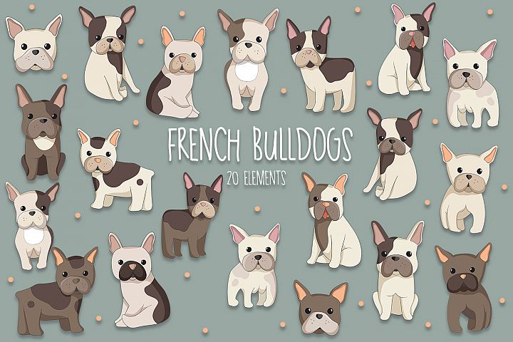 French Bulldogs