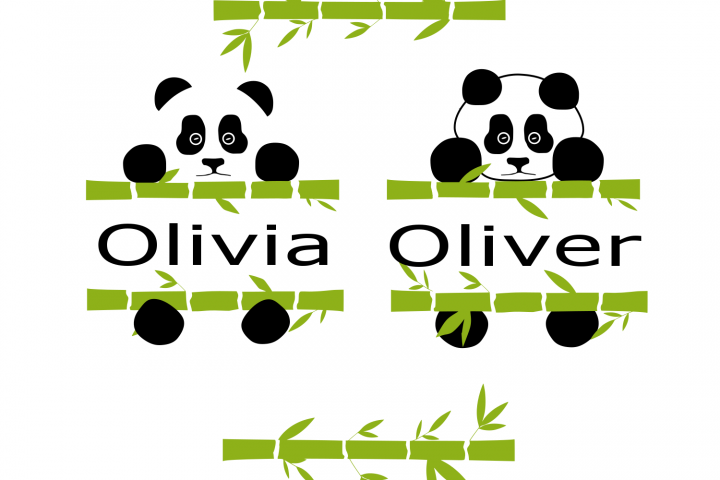 Download Panda SVG (62754) | SVGs | Design Bundles