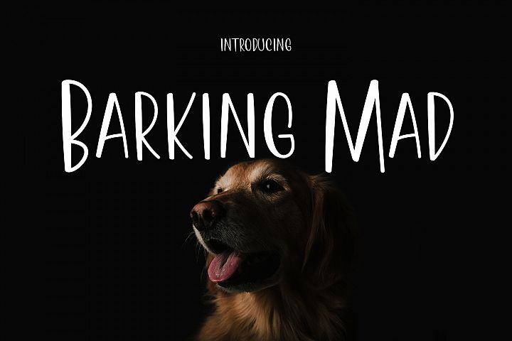 dog who hides in barking mad locations