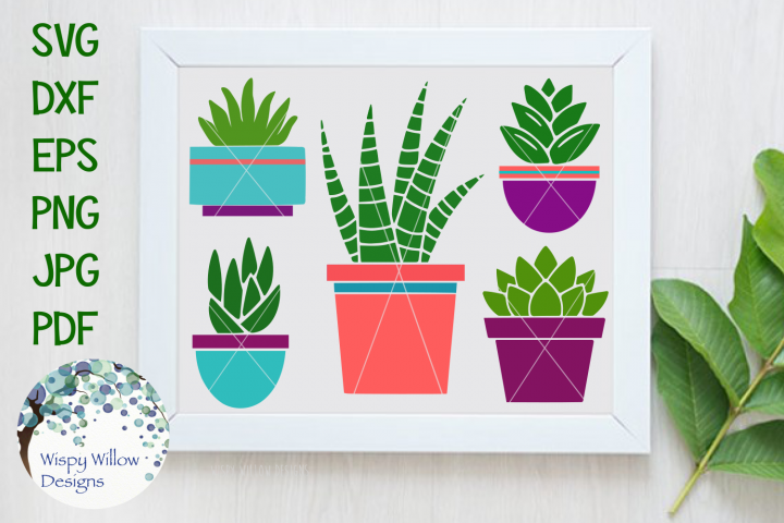 Download Succulent and Aloe Plant SVG Bundle and Clipart (137948 ...