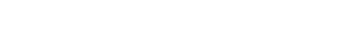 Raport Script preview for Raport Script