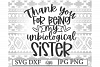 Download Thank You For Being My Unbiological Sister Svg