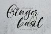 Ginger & Basil Script Font